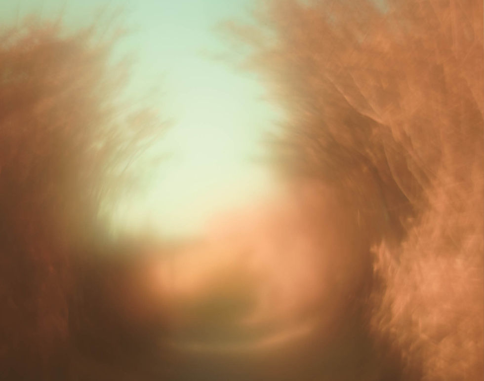 Toward%20a%20waning%20Glow_V02C_edited.j